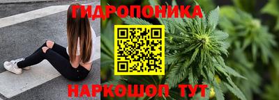соль ск Дубна